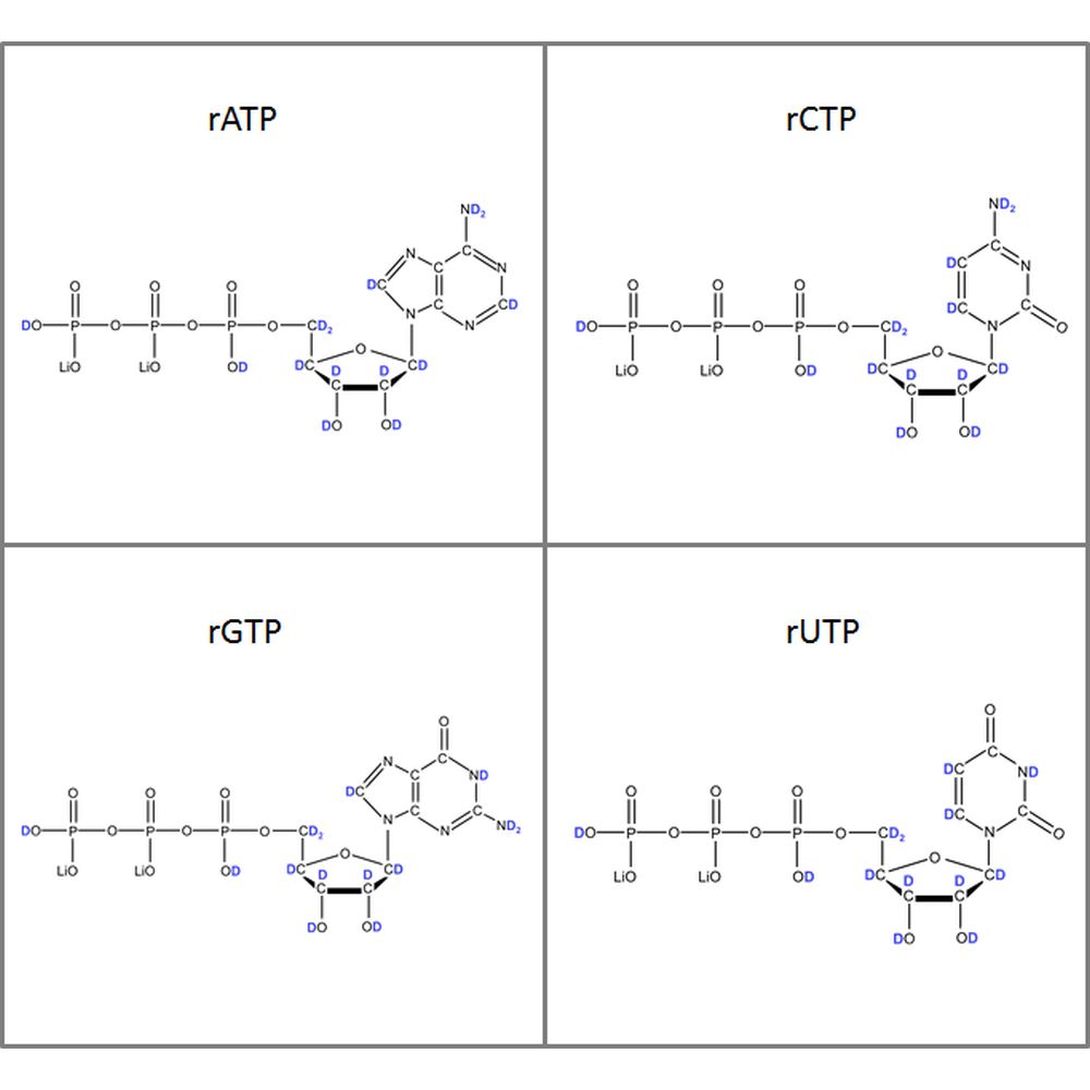 Set of 4 U-2H-labeled rNTPs  lithium salt solution
