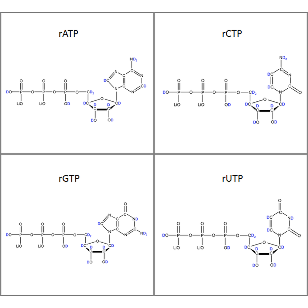 Set of 4 U-2H-labelled rNTPs  lithium salt solution