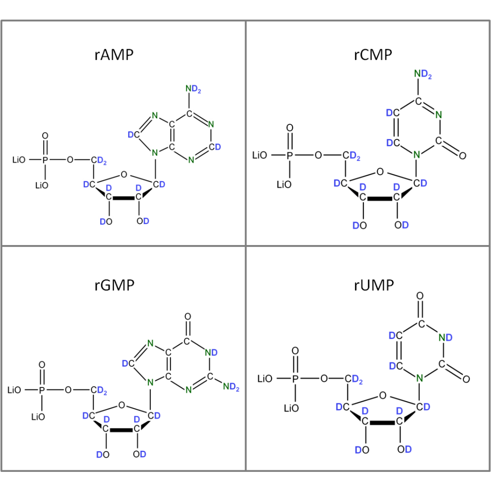 Set of 4 2H 15N-labelled rNMPs lithium salt solution