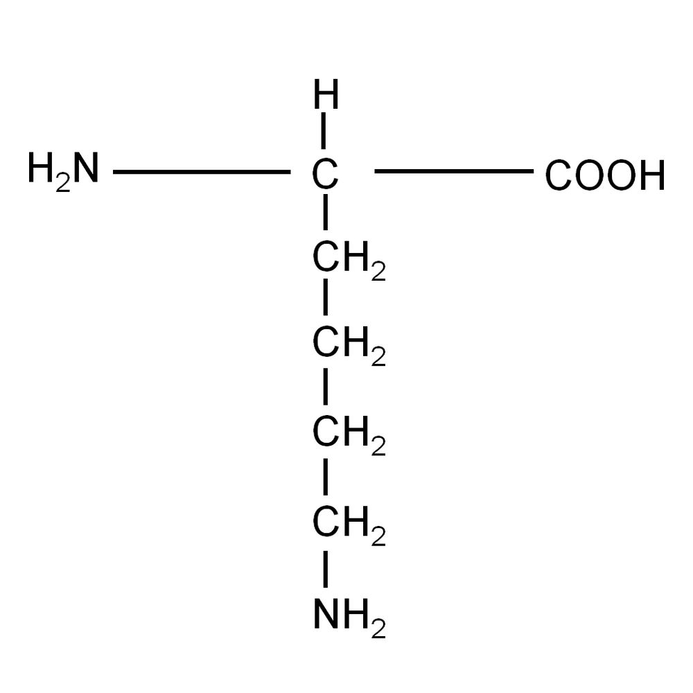 unlabele d L-Lysine hydrochloride powder