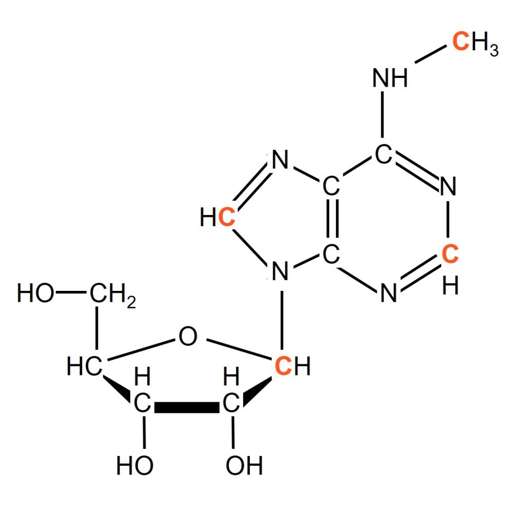 N6-Methyl(13CH3)-1’,2,8- 13C4-Adenosine,powder