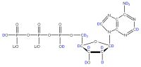 U-2H Deoxyadenosine 5'- triphosphate lithium salt  solution