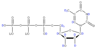 U-2H Thymidine 5'- triphosphate  lithium salt solution