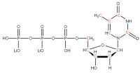 U-13C Thymidine 5'- triphosphate lithium salt  solution