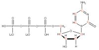 U-13C Deoxycytidine 5'- triphosphate lithium salt  solution