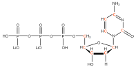 U-13C Deoxycytidine 5'- triphosphate lithium salt  solution