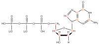 U-13C Deoxyguanosine 5'- triphosphate lithium salt  solution
