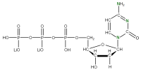 U-15N Deoxycytidine 5'- triphosphate lithium salt  solution