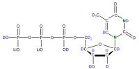 U-2H 15N Thymidine 5'- triphosphate lithium salt  solution