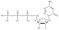 U-13C 15N Deoxycytidine 5'- triphosphate lithium salt  solution