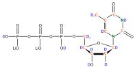 U-2H 13C 15N Thymidine 5'- triphosphate lithium salt  solution