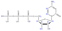 U-2H Cytidine 5'-triphosphate  lithium salt solution