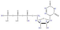 U-2H Uridine 5'-triphosphate  lithium salt solution