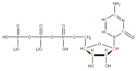 U-13C Cytidine 5'- triphosphate  lithium salt solution