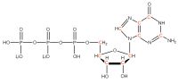 U-13C Guanosine 5'- triphosphate lithium salt  solution
