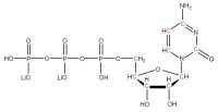 U-13C Cytidine 5'- triphosphate  lithium salt solution