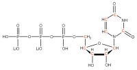 U-13C Uridine 5'-triphosphate  lithium salt solution