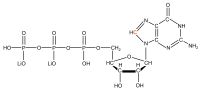 13C8 Guanosine 5'- triphosphate lithium salt  solution
