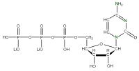 U-15N Cytidine 5'- triphosphate  lithium salt solution