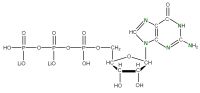 U-15N Guanosine 5'- triphosphate lithium salt  solution