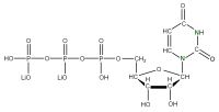 U-15N Uridine 5'-triphosphate  lithium salt solution