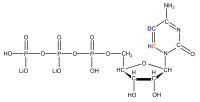 2H5 13C6 Cytidine 5'- triphosphate  lithium salt solution