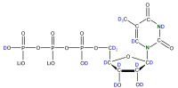 U-2H 15N Uridine 5'- triphosphate lithium salt  solution