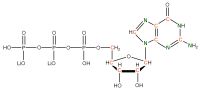 U-13C 15N Guanosine 5'- triphosphate lithium salt  solution