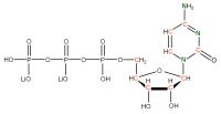 U-13C 15N Cytidine 5'- triphosphate lithium salt  solution