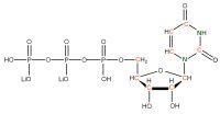 U-13C 15N Uridine 5'- triphosphate lithium salt  solution