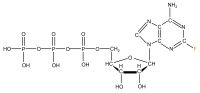 U-19F2 Fluoroadenosine 5'- triphosphate lithium salt  solution