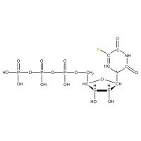 U-19F5 Fluorocytidine 5'- triphosphate,  lithium salt, solution