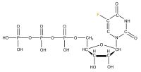 U-19F5 Fluorouridine 5'- triphosphate lithium salt  solution