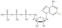 U-19F2 13C2  Fluoroadenosine  5'-triphosphate lithium salt  solution