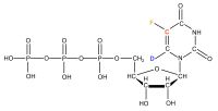 U-19F5 2H6 13C5  Fluorouridine  5'-triphosphate lithium salt  solution