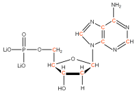U-13C Deoxyadenosine 5'- monophosphate lithium salt  solution