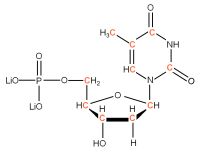 U-13C Thymidine 5'- monophosphate lithium salt  solution