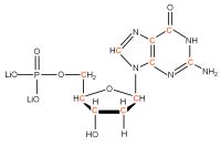 U-13C Deoxyguanosine 5'- monophosphate lithium salt  solution