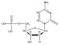 U-15N Deoxycytidine 5'- monophosphate lithium salt  solution
