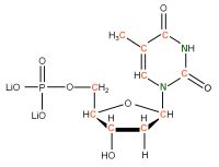 U-13C U-15N Thymidine 5'- monophosphate lithium salt  solution