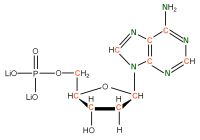 U-13C U-15N  Deoxyadenosine  5'-monophosphate lithium salt  solution