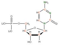 U-13C U-15N Deoxycytidine  5'- monophosphate lithium salt  solution