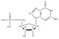 U-13C U-15N  Deoxyguanosine  5'-monophosphate lithium salt  solution
