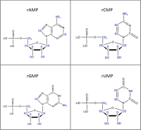 Set of 4 U-2H-labelled rNMPs  lithium salt solution