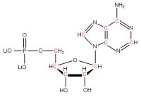 U-13C Adenosine 5'- monophosphate lithium salt  solution
