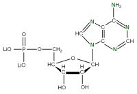 U-15N Adenosine 5'- monophosphate lithium salt  solution
