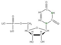 U-15N Uridine 5'- monophosphate lithium salt  solution