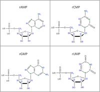 Set of 4 2H 15N-labelled  rNMPs lithium salt solution