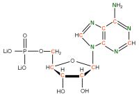 U-13C U-15N Adenosine 5'- monophosphate lithium salt  solution