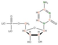 U-13C U-15N Cytidine 5'- monophosphate lithium salt  solution